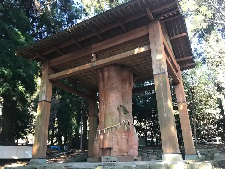 国造神社の自然