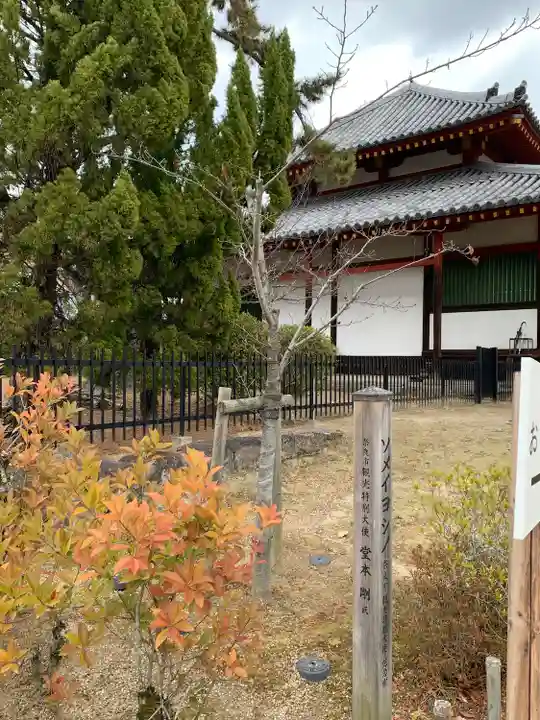 西大寺(奈良県)