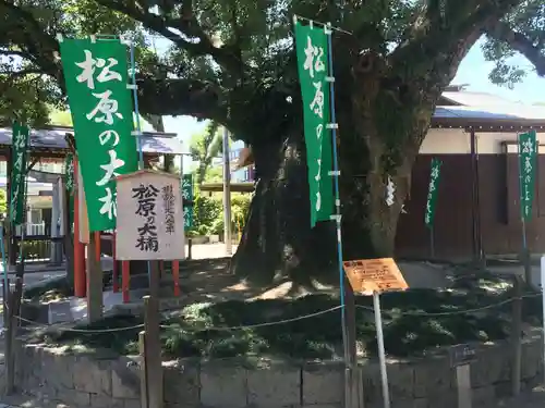佐嘉神社・松原神社(佐賀県)