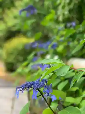 乗運寺(静岡県)