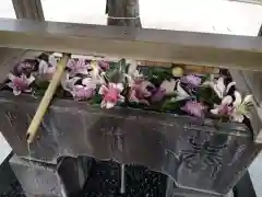 鳩森八幡神社(東京都)