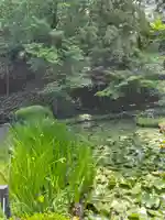 天台宗 長窪山 正覚寺の自然