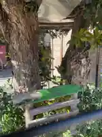 宮地嶽神社の御朱印