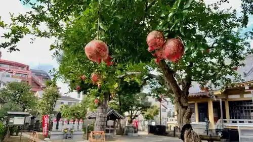 福王山  慈眼寺の自然