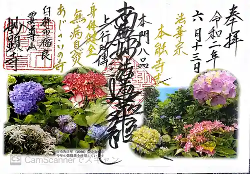 妙顕寺の御朱印