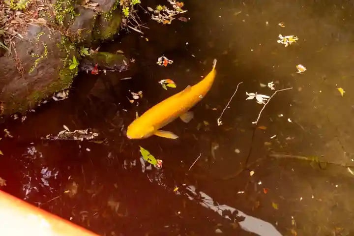 富知六所浅間神社(静岡県)