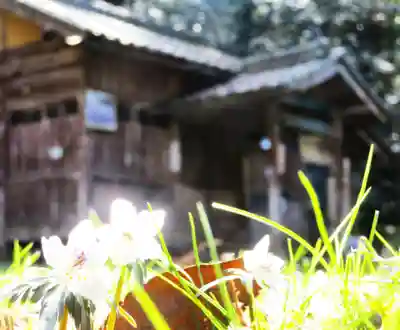 田殿神社の自然