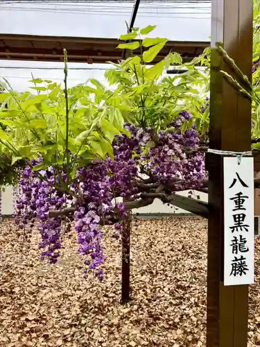 奈加美神社の庭園