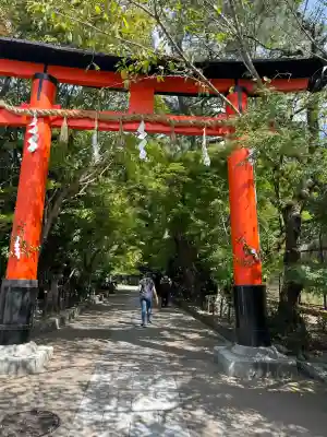 宇治上神社の鳥居