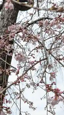 満願寺(京都府)
