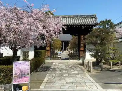 妙顯寺(妙顕寺)の山門・神門