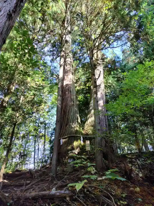 戸隠神社火之御子社(長野県)