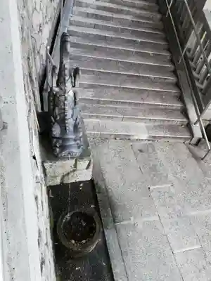 瀧泉寺(目黒不動尊)の狛犬