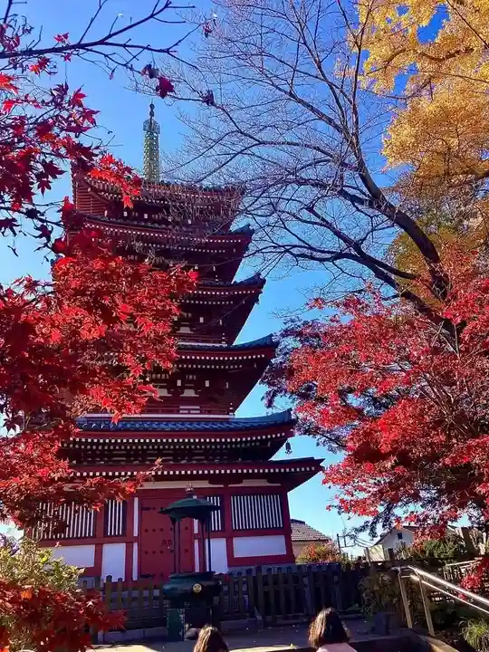 本土寺(千葉県)