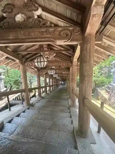 長谷寺の{uncategorized: "未分類", other: "その他", undefined: "問題あり", building: "その他建物", grave: "お墓", sacred_gate: "鳥居", guardian: "狛犬", statue: "像", buddha: "仏像", history: "歴史", nature: "自然", garden: "庭園", animal: "動物", pagoda: "塔", temizu: "手水舎", mountain_gate: "山門・神門", sanctuary: "本殿・本堂", subordinate: "末社・摂社", art: "芸術", scenery: "景色", jizo: "地蔵", ema: "絵馬", goshuin: "御朱印", omikuji: "おみくじ", items: "授与品その他", amulet: "お守り", goshuincho: "御朱印帳", eats: "食事", festival: "お祭り", votive_dance: "神楽", shichigosan: "七五三参", wedding: "結婚式", experience: "体験その他", initially: "初詣", around: "周辺", anti_infection: "感染症対策"}