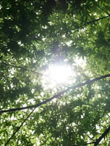 普門寺(切り絵御朱印発祥の寺)(愛知県)