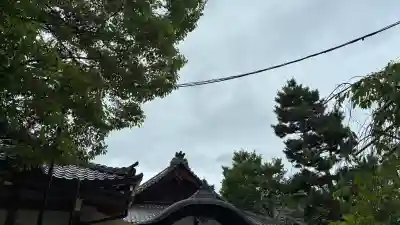 安井金比羅宮の{uncategorized: "未分類", other: "その他", undefined: "問題あり", building: "その他建物", grave: "お墓", sacred_gate: "鳥居", guardian: "狛犬", statue: "像", buddha: "仏像", history: "歴史", nature: "自然", garden: "庭園", animal: "動物", pagoda: "塔", temizu: "手水舎", mountain_gate: "山門・神門", sanctuary: "本殿・本堂", subordinate: "末社・摂社", art: "芸術", scenery: "景色", jizo: "地蔵", ema: "絵馬", goshuin: "御朱印", omikuji: "おみくじ", items: "授与品その他", amulet: "お守り", goshuincho: "御朱印帳", eats: "食事", festival: "お祭り", votive_dance: "神楽", shichigosan: "七五三参", wedding: "結婚式", experience: "体験その他", initially: "初詣", around: "周辺", anti_infection: "感染症対策"}