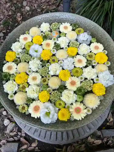 行田八幡神社(埼玉県)