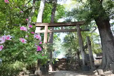 熊野神社(東京都)