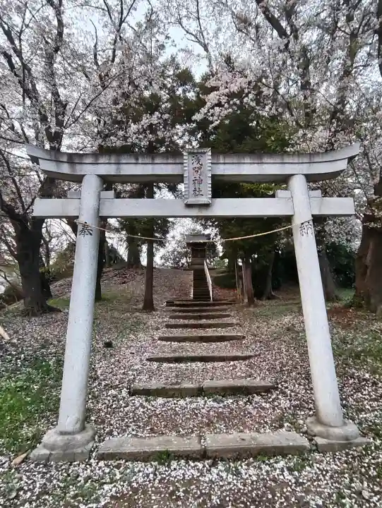浅間神社の{uncategorized: "未分類", other: "その他", undefined: "問題あり", building: "その他建物", grave: "お墓", sacred_gate: "鳥居", guardian: "狛犬", statue: "像", buddha: "仏像", history: "歴史", nature: "自然", garden: "庭園", animal: "動物", pagoda: "塔", temizu: "手水舎", mountain_gate: "山門・神門", sanctuary: "本殿・本堂", subordinate: "末社・摂社", art: "芸術", scenery: "景色", jizo: "地蔵", ema: "絵馬", goshuin: "御朱印", omikuji: "おみくじ", items: "授与品その他", amulet: "お守り", goshuincho: "御朱印帳", eats: "食事", festival: "お祭り", votive_dance: "神楽", shichigosan: "七五三参", wedding: "結婚式", experience: "体験その他", initially: "初詣", around: "周辺", anti_infection: "感染症対策"}