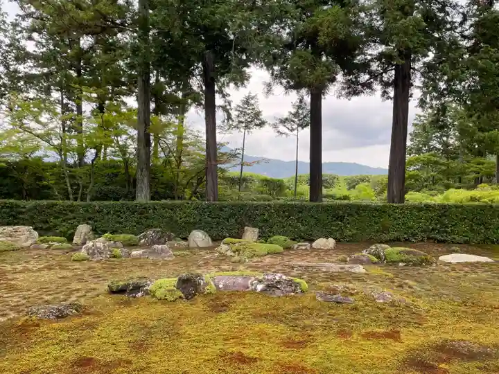 圓通寺(京都府)