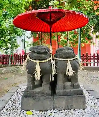 浅草神社の狛犬