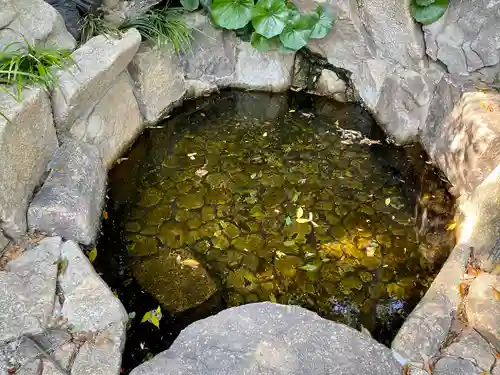 師岡熊野神社(神奈川県)