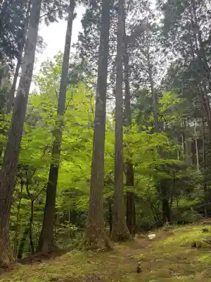 御岩神社の{uncategorized: "未分類", other: "その他", undefined: "問題あり", building: "その他建物", grave: "お墓", sacred_gate: "鳥居", guardian: "狛犬", statue: "像", buddha: "仏像", history: "歴史", nature: "自然", garden: "庭園", animal: "動物", pagoda: "塔", temizu: "手水舎", mountain_gate: "山門・神門", sanctuary: "本殿・本堂", subordinate: "末社・摂社", art: "芸術", scenery: "景色", jizo: "地蔵", ema: "絵馬", goshuin: "御朱印", omikuji: "おみくじ", items: "授与品その他", amulet: "お守り", goshuincho: "御朱印帳", eats: "食事", festival: "お祭り", votive_dance: "神楽", shichigosan: "七五三参", wedding: "結婚式", experience: "体験その他", initially: "初詣", around: "周辺", anti_infection: "感染症対策"}