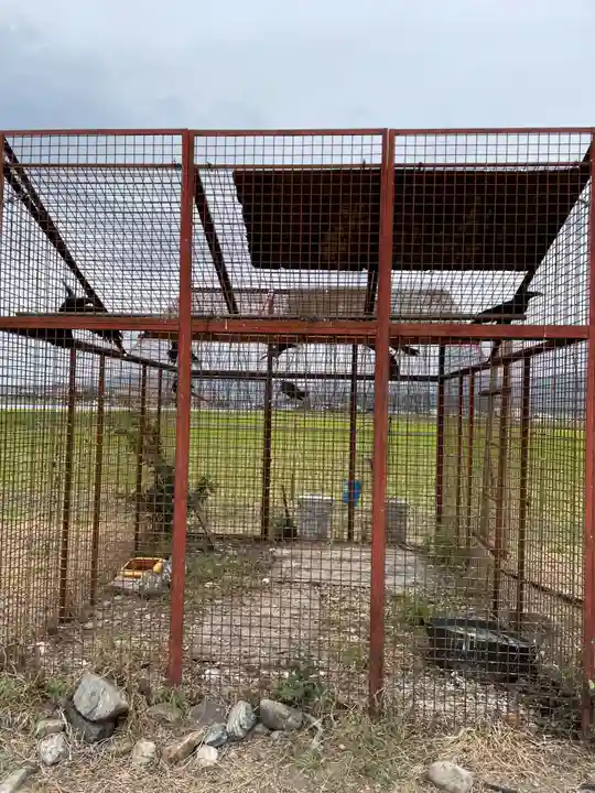 小川月神社(京都府)