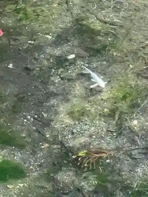 涌釜神社(栃木県)