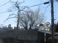 妙典寺(埼玉県)