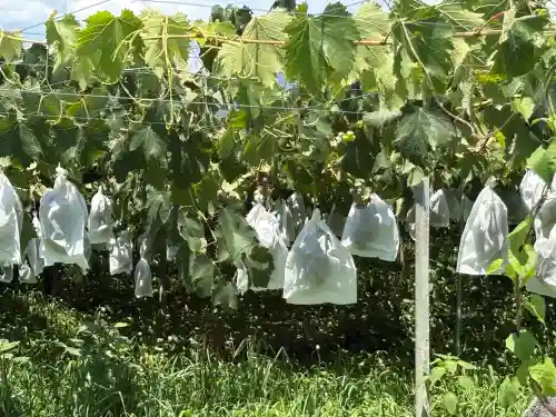 若松神社(山梨県)