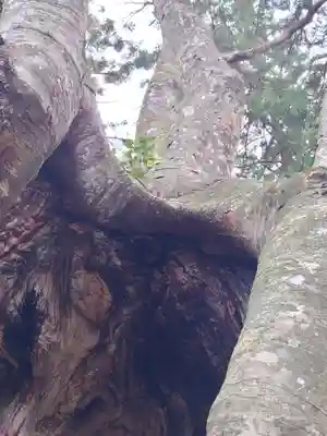 黒沼神社(福島県)