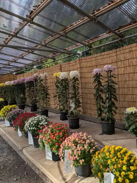 明治神宮(東京都)