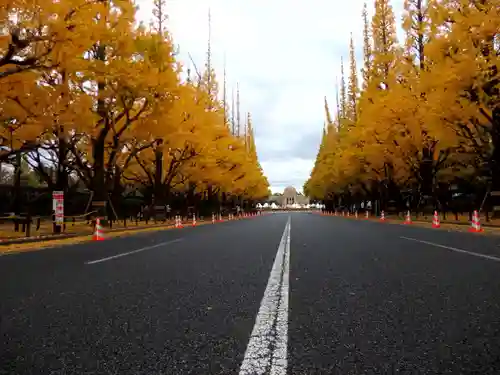 明治神宮(東京都)