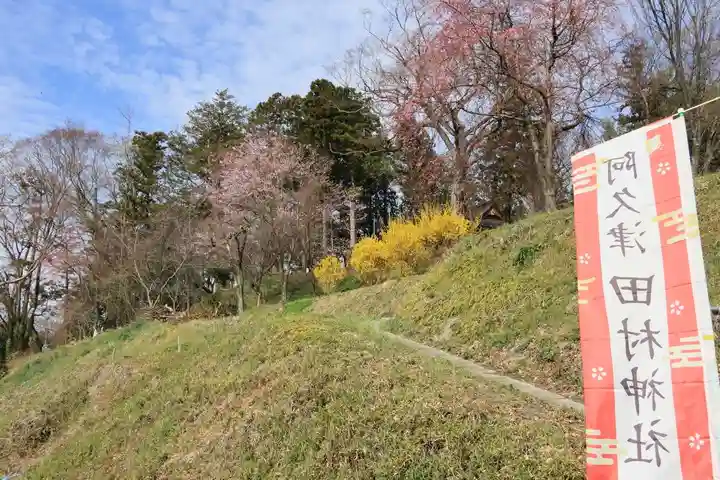 阿久津「田村神社」(郡山市阿久津町)旧社名:伊豆箱根三嶋三社の景色