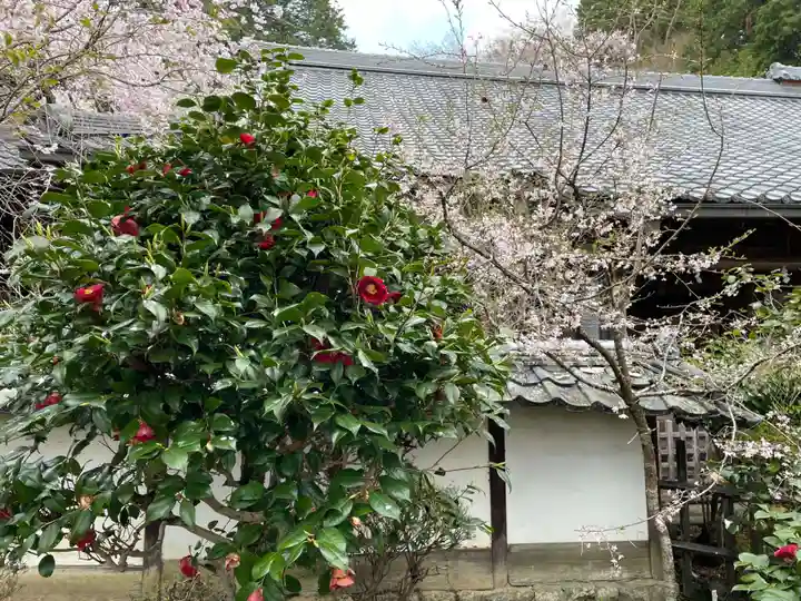 十輪寺(京都府)
