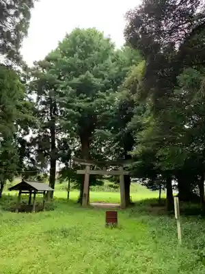鏑木大神(千葉県)
