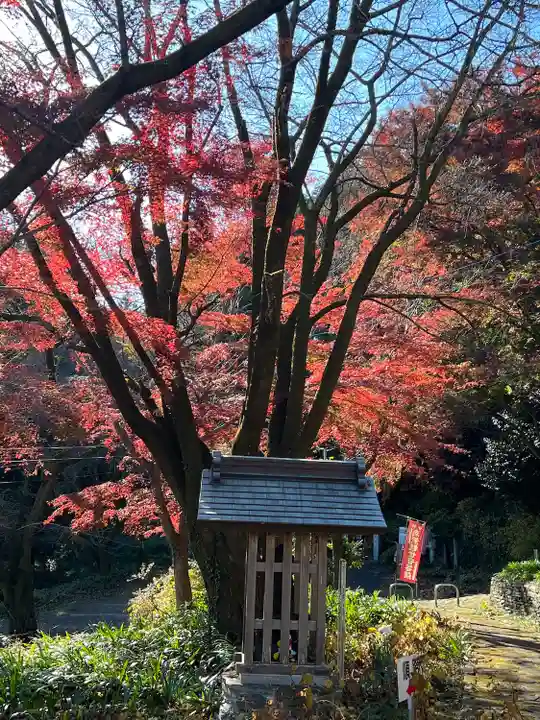 慈光寺(埼玉県)