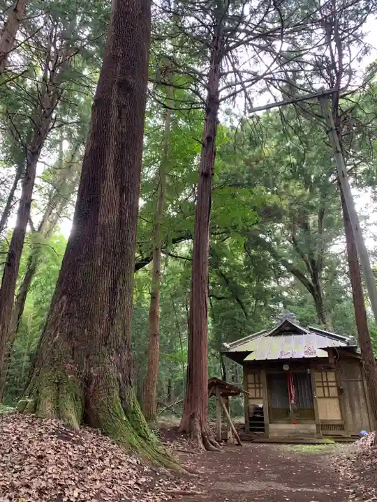 太神宮(千葉県)