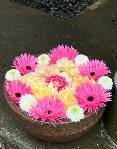 須山浅間神社(静岡県)