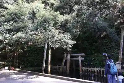 鹿島神宮(茨城県)
