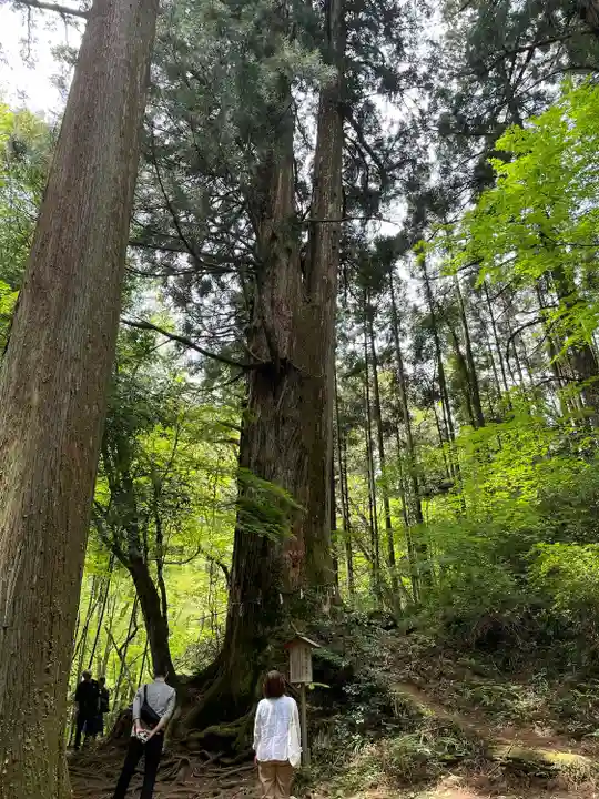 花園神社(茨城県)