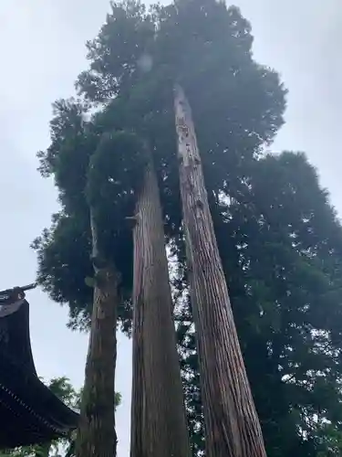 小国両神社の自然