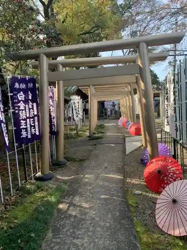 白金龍王社(愛知県)