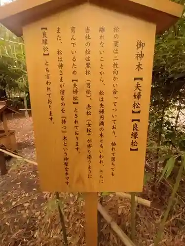 自由が丘熊野神社の歴史