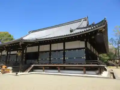 仁和寺の本殿・本堂