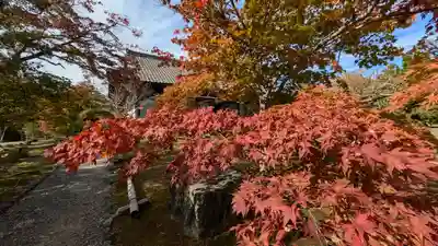 勧修寺(京都府)
