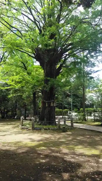 赤坂氷川神社(東京都)
