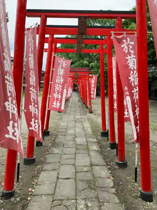 於菊稲荷神社の鳥居